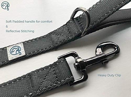 Embark Adventure Dog Leashes - Colorful, Strong, and Sturdy Dog Leash for Small, Medium, and Large Breed Dogs (Black, 5 Ft)