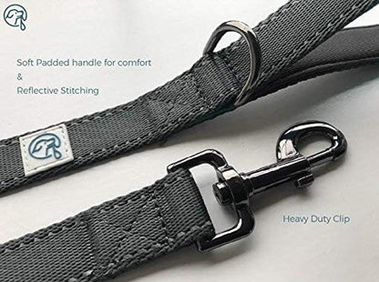 Embark Adventure Dog Leashes - Colorful, Strong, and Sturdy Dog Leash for Small, Medium, and Large Breed Dogs (Black, 5 Ft)