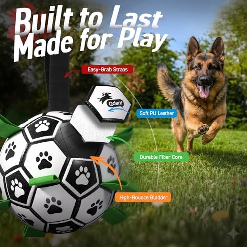 QDAN Large Dog Toys, Soccer Ball for Dogs with Straps, 9 Inch Big Dog Ball - Image 4
