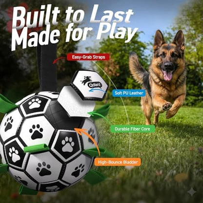 QDAN Large Dog Toys, Soccer Ball for Dogs with Straps, 9 Inch Big Dog Ball - Image 4