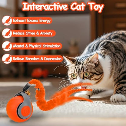 2PCS Interactive Cat Toy Ball, Rechargeable Cat Toys for Indoor Cats - Image 4
