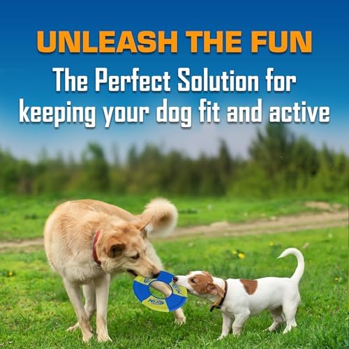 Nerf Dog Trackshot Toss and Tug Ring Outdoor Dog Toy 2 Pack, 9 Inch Dog Tug and Fetch Toy, for Medium and Large Breeds, Blue/Orange/Green - Image 3