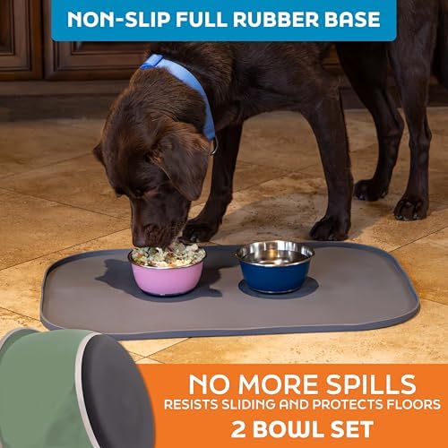 Master Pet Supply Stainless Steel Dog Bowls Set of 2 - Camo Patrol - 16 Oz - Image 4