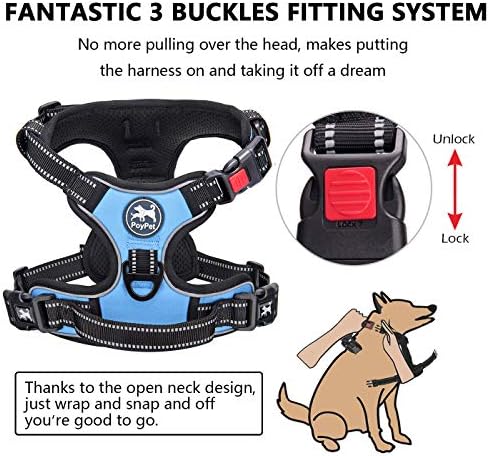 PoyPet No Pull Dog Harness Large with Front Clip & Neck Release Buckle - Image 2