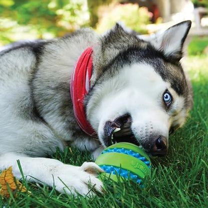 KONG Squeezz Goomz Ball Lg - Image 2