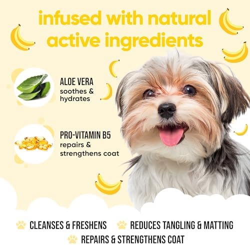 Banana Dog Shampoo by Buddycare | Deep Cleansing Shampoo for Dogs | Banana Scented | with Aloe Vera and Pro Vitamin B5 (16.9oz) - Image 3