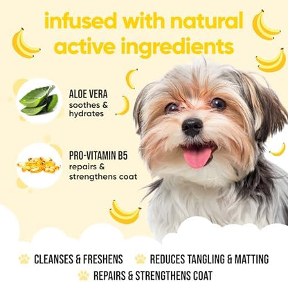 Banana Dog Shampoo by Buddycare | Deep Cleansing Shampoo for Dogs | Banana Scented | with Aloe Vera and Pro Vitamin B5 (16.9oz) - Image 3