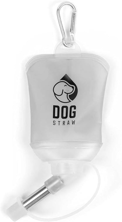 – The Ultimate Portable Water Solution for Dogs, 5oz Gray