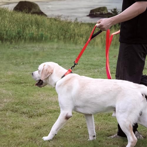 Wagtime Club Heavy Duty Double Handle Dog Leash for Large Medium Small Dogs - Image 5