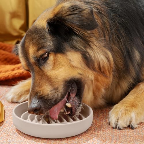 Slow Feeder Dog Bowl - Silicone Dog Bowl, Medium, 7.5" x 1.5" - Sand - Image 2