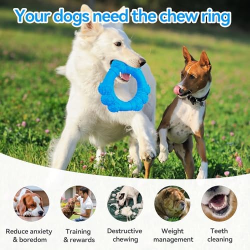 Indestructible Dog Chew Ring Toys for Aggressive Chewers, Super Chewer Toy for Medium Large Dogs, Puppy Teething Rings for Relax, Interactive Dogs Toy, Heavy Duty Dog Teething Toys - Image 5
