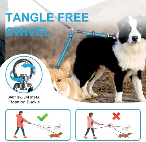 MingXpet Double Dog Leash for Two Dogs, No Pull Dog Leash, 360° Swivel No Tangle for Large Dogs Walking & Training, Shock Absorbing Reflective Bungee, Blue - Image 4
