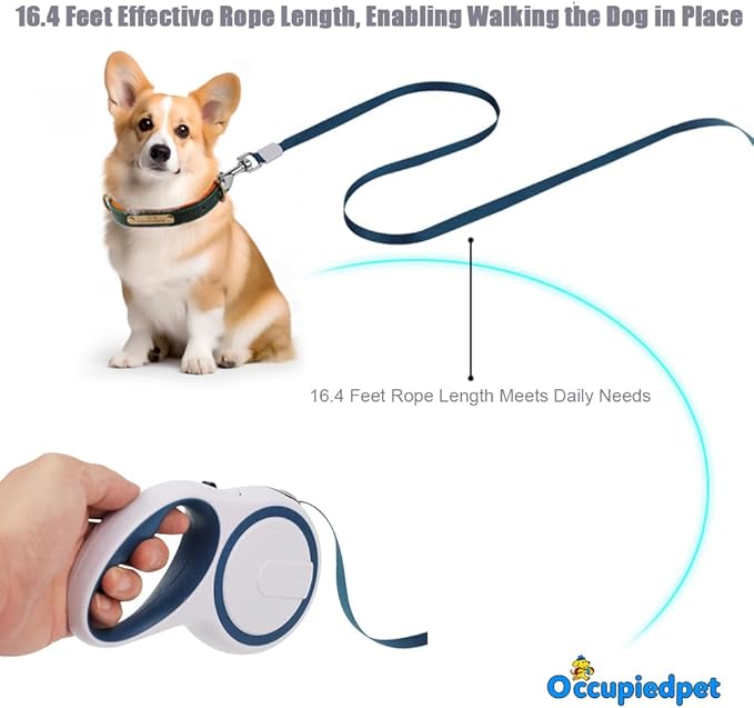 Retractable Dog Leash,16ft Dog Walking Leash Strong Nylon Tape and Anti Slip Handle One-Handed Brake No Tangle for Small Dogs Up to 44lbs.（Gray）