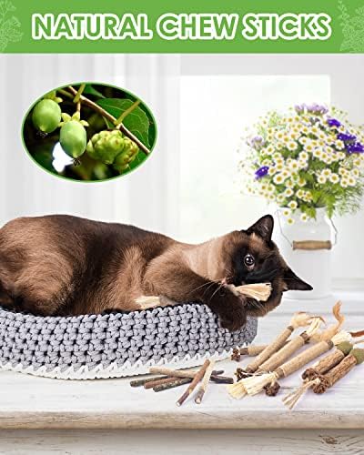 TINDTOP Catnip Chew Toys for Cats, 12 Pack Natural Silvervine Sticks - Image 2