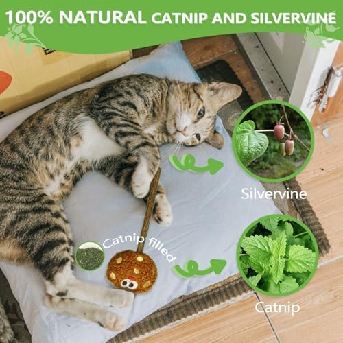 Silvervine Sticks for Cats (5-Pcs), Catnip Lollipop Cat Toy for Indoor Cats, Natural Cat Chew Toys for Kitten Teething and Teeth Cleaning - Image 6