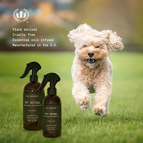 Muse Apothecary Pet Ritual Pet Cologne Spray for Dogs - Dog Perfume Spray Long Lasting After Bath - Pet Perfume for Dogs - Essential Oils Infused - 4oz, Lavender Fields - Image 6
