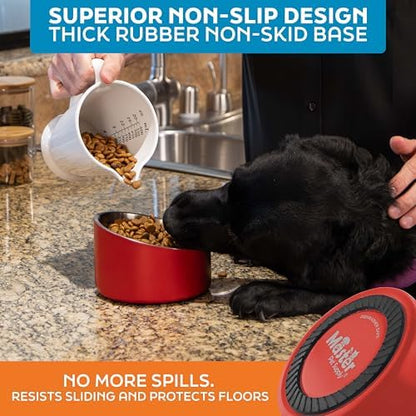 Master Pet Supply Stainless Steel Slanted Dog Cat Food Bowl 16 oz Crimson - Image 5