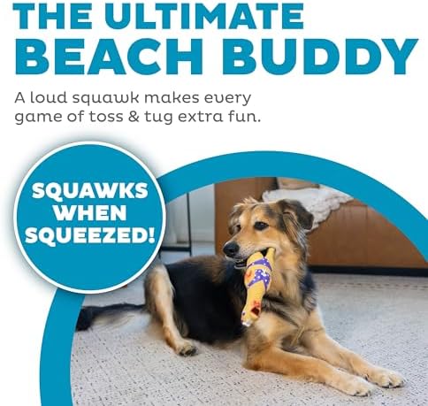 Outward Hound by Charming Pet Squawkers Henrietta Latex Squeaky Rubber Chicken Dog Toy, Funny Interactive Holiday Toy for Dogs, Large Size (Pack of 2) - Image 2