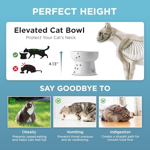 NECOICHI Raised Cat Water Bowl, Elevated, with Measurement Lines, Dishwasher and Microwave Safe (Cat, Extra Tall) White - Image 5