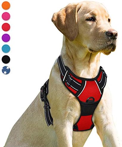 BARKBAY Dog Harness No Pull for Large Dogs Front Back Clips,Dog Vest by BARKBAY