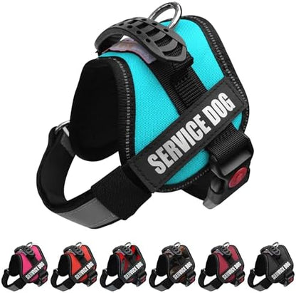 ALBCORP Service Dog Vest Harness – Reflective Service Animal Vest, No-Pull Harness with Handle & Mesh Padding – Sizes XXS-XL for Puppies – 2 Removable Service Patches Included (Small, Blue) by Albcorp