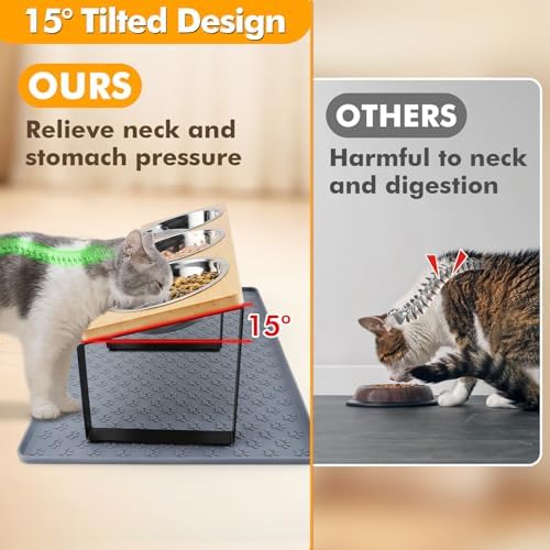 15° Tilted Elevated Cat Bowls, Anti-Vomiting for Indoor Cats Small Pets - Image 2