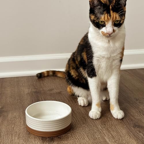 Mora Ceramic Pet Bowl Size Small - Food/Water Dish for Puppy Dogs, Cats, Guinea Pig, Rabbit, Hamster, Snake, ect. 11oz or 2 Cups - Basic Bowls for Your Dog or Cat, Mix and Match for a Set - Vanillla - Image 5