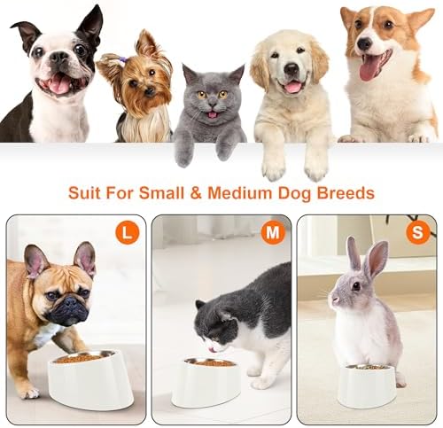 Tilted Dog Bowl Non-Slip & Non-Spill Pet Feeder with Elevated Detachable Melamine Stand, Easy to Get Food Dog Dish, L/300ml White - Image 3