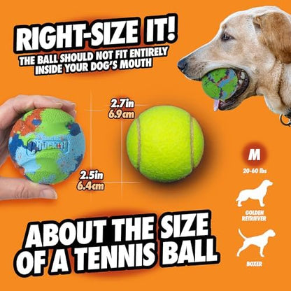 Chuckit! EcoFetch Fetch Ball Dog Toy, Medium (2.5 Inch Diameter) Pack of 1, for Breeds 20-60 lbs - Image 5