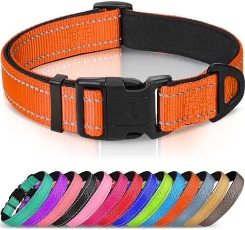 Joytale Reflective Dog Collar, Adjustable Neoprene Padded, Orange XS by Joytale
