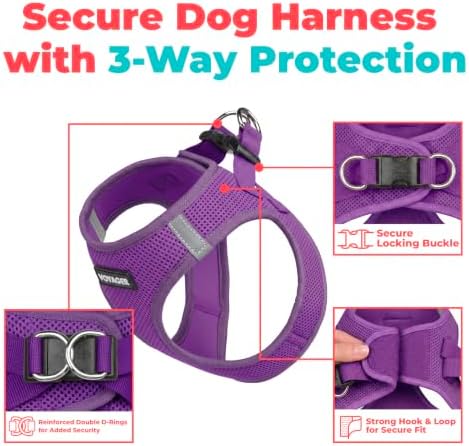 Voyager Step-in Air Dog Vest Harness - Purple, Small - Image 2