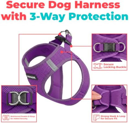 Voyager Step-in Air Dog Vest Harness - Purple, Medium - Image 2