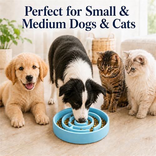 Ceramic Slow Feeder Dog Bowl 1.5 Cup Puzzle Dish for Small Medium Dogs - Image 3
