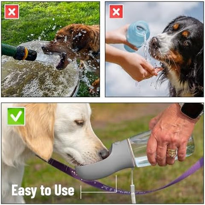 Mr. Pen- Portable Dog Water Bottle, 19 oz, Large - Image 7