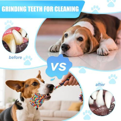 Celery Tough Dog Toys for Aggressive chewers - 4 Pack Durable Cotton Rope chew Toys for Large Dogs and Medium, Interactive tug of War, Teeth Cleaning, Puppy Training and Fetch Play (4 Pack) - Image 4