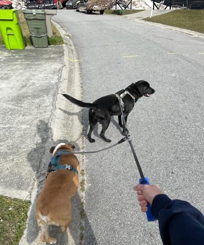 Double Dog Leash Coupler Heavy Duty Extension Rope for Two Large Dog - Image 6