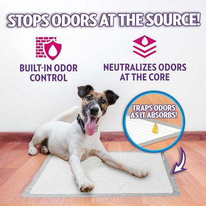 OUT! PetCare XL Pee Pads for Dogs, Leak Proof, Extra Large, 26x24, 60 Count - Image 3