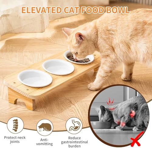 Elevated Cat Food Bowl, 3 Ceramic Raised Cat Basic Bowls with Stand, 15°Tilted Cat Bowl for Indoor Cats, Water Bowl Set,Dishwasher Safe(Large) - Image 4