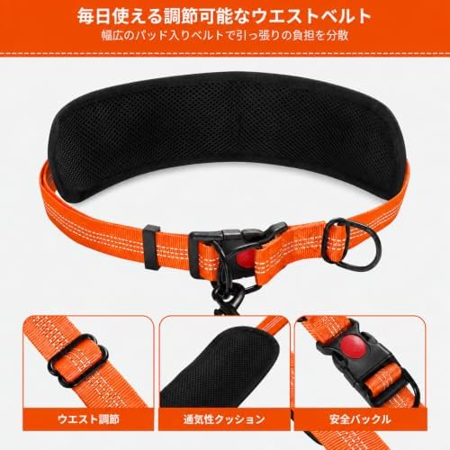 Hands Free Double Dog Leash, 4 Reflective Padded Handles, Adjustable Waist Belt 27-51", Shock-Absorbing Bungee, 360° Swivel Clips, for Small, Medium & Large Dogs, Walking Jogging Running - Image 6