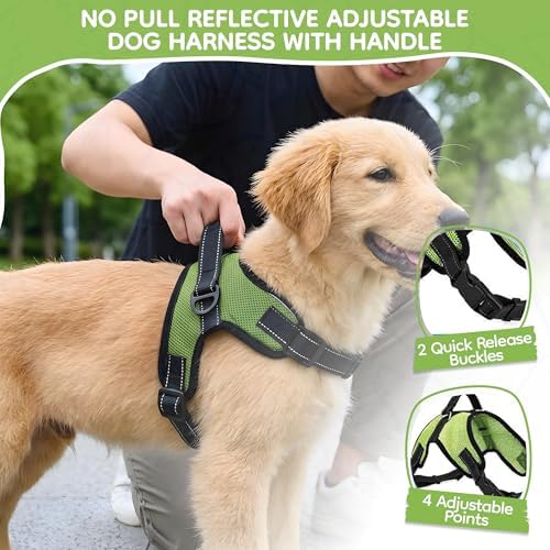 No Pull Reflective Adjustable Dog Harness with Handle- Comfortable Soft All Weather Mesh, Easy On Puppy Harness for Small Medium and Large Dogs (Green) Small - Image 2