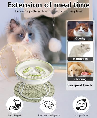 Ceramic Elevated Slow Feeder Cat Bowl, Anti Vomit, Removable Dish, Green - Image 4