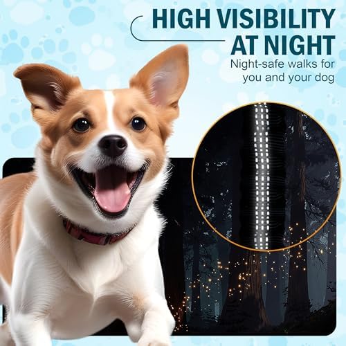 Hands Free Dog Leash with Waist Belt – No-Pull Bungee, Dual Padded Handles & Zipper Pouch for Running, Walking & Training – Adjustable Waist Leash for Large & Medium Dogs - Image 6