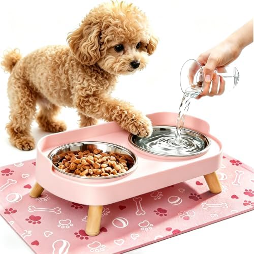 Elevated Dog Bowls with Mat, 2 Stainless Steel for Small Dogs Under 25 Lb by DIRZHX