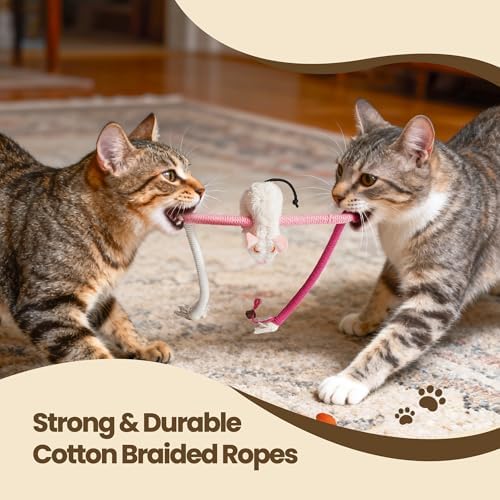 Cat Chew Ropes with Catnip Mouse, 3Pcs Cat Chew Toys for Large Cats Enrichment, 3-in-1 Catnip Toys Mouse & Strong Braided Ropes & Gall Fruits, Cats Teething Toys - Image 4