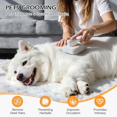3-in-1 Pet Mist Brush for Dogs & Cats, Self-Cleaning,Rechargeable - Image 4