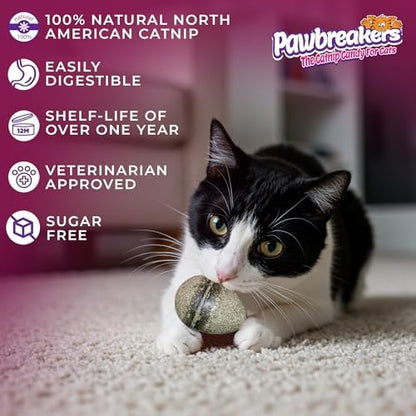 Pawbreakers 2 Catpurry Eggs - All-Natural cat Treats, Medical Grade Catnip Treat and Toy, Catnip for Cats for Relaxed Play, Safe & Digestible, Hypoallergenic & Vegan - 2.25 inches Tall, Made in USA - Image 5