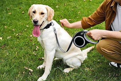 Retractable Dog Leash, 26 Feet Dog Leash for Small to Large Dogs up to 110lbs,Heavy Duty Design with Anti-Slip Handle, One-Handed Quick-Lock Braking System. - Image 7