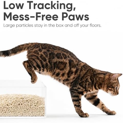 FUKUMARU Tofu Cat Litter, Unscented, Plant-Based, Clumping, Low Dust, 18 lb - Image 6
