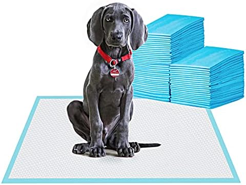 BESTLE Large Pet Training and Puppy Pads Pee Pad for Dogs 24"x24"-80 Count Super Absorbent & Leak-Proof by BESTLE