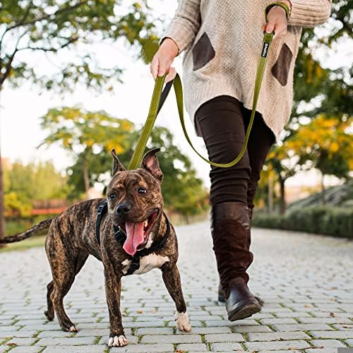 PetiFine 5FT Heavy Duty Dog Leash with Soft Padded Double Handle - Image 6